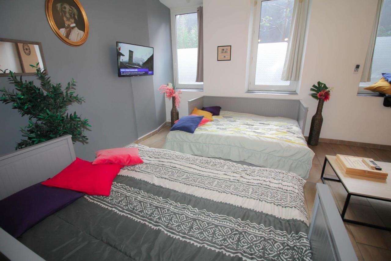 Calme en centre ville Appartement , spacieux et rénové à 50m de la Place Carnot Carcasona Exterior foto